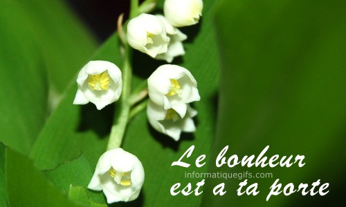 petite clochette muguet