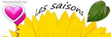 Image coeur avec fleur et les saisons