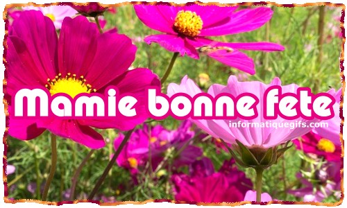 bouquet de fleurs rose pour mamie