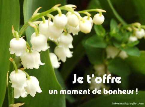 Je t'offre un moment de bonheur muguet blanc