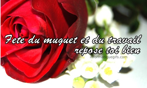 Une rose rouge avec du muguet