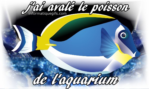 avaler un poisson avril