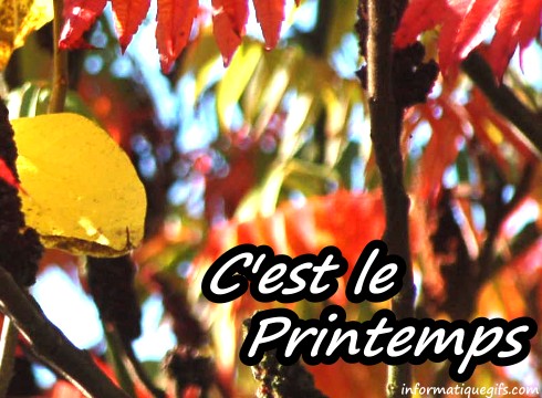 Image de printemps avec feuille de divers couleurs