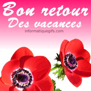 bon retour des vacances et coquelicot