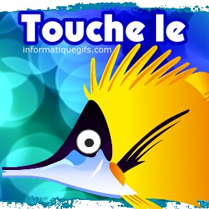 touche le poisson jaune