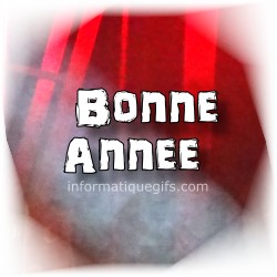 La bonne annee