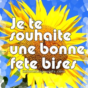 photo tournesol avec bonne fete bises