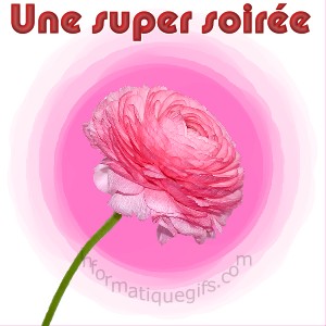 image rose avec super soiree