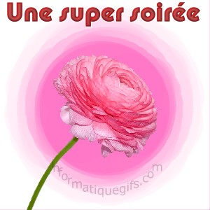 image rose avec super soiree