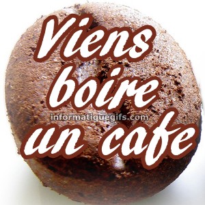 image graine de cafe