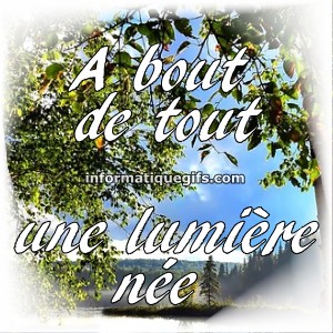Des arbres avec eau