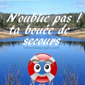 une mer avec bouee de secours