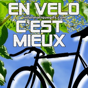 arbre avec velo