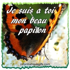 Un papillon sur un arbre a papillon