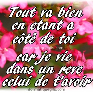 Une fleur rose avec tout va bien