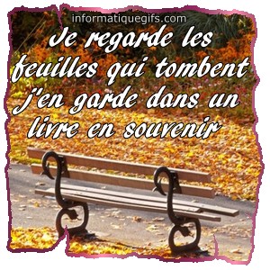 Un banc avec pleins de belles feuilles