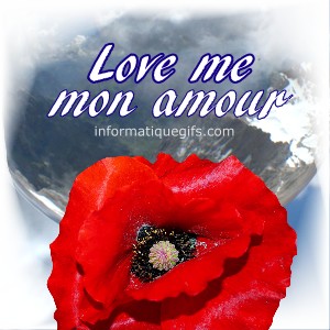 love me mon amour avec coquelicot