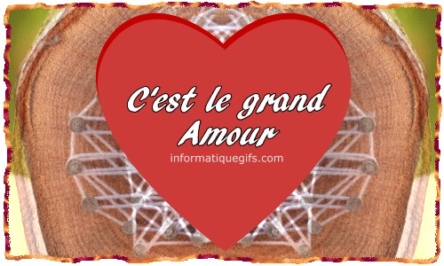 Un coeur dans un arbre