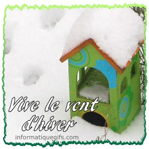 De la neige sur une maison de jardin