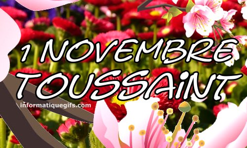 1er novembre toussaint