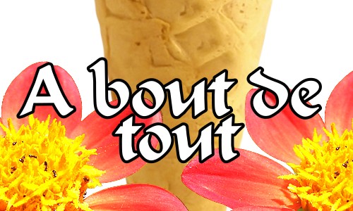 photo a bout de tout avec cornet et fleur