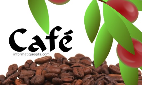 grain de cafe et feuille
