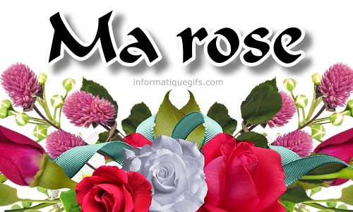 bouquet de roses