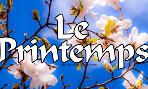 Photo printemps avec ciel et fleur