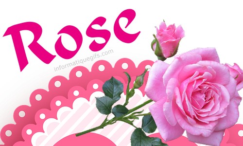 Photo De Rose Rouge Image Rose Amour Et Message