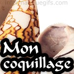 mon coquillage