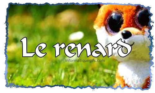 Image renard peluche