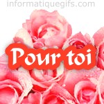 pour toi un bouquet de roses