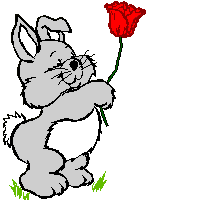 Animation gif lapin qui offre une rose rouge