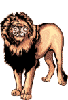lion gif animé