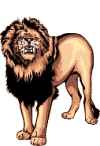 lion gif animé
