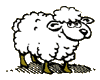 image mouton en gif animé noir et blan