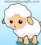 image sheep gif