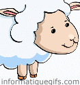 le petit bebe du mouton