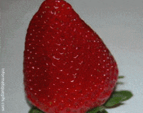 Gif anime fraise fruit rouge