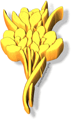Fleur tulipe jaune