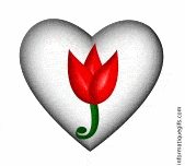 Gifs coeur avec une tulipe 3D
