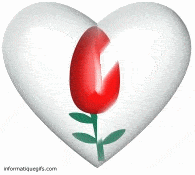 Gif anime coeur avec une tulipe a l'interieur