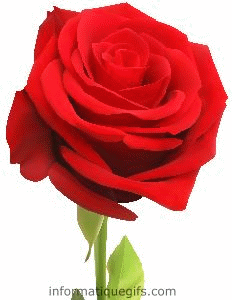 gif anime fleur du jardin