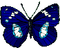 gif papillon bleu qui vol