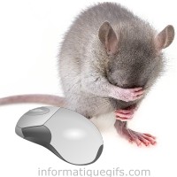 souris informatique