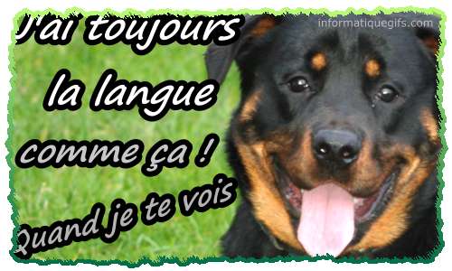 Image de langue chien