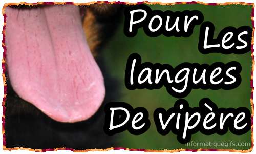 Image de langue chien