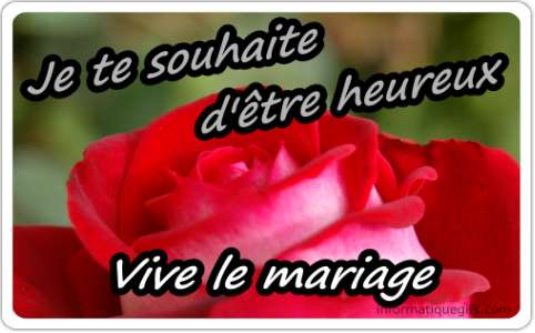 Photo mariage avec rose rouge