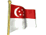 drapeau singapour