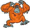 Image gif singe qui fait des conneries
